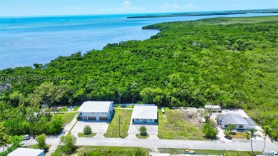 Huge Direct Oceanfront Compound - One-of-a-Kind with 276-Foot - photo 26