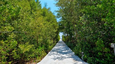 Huge Direct Oceanfront Compound - One-of-a-Kind with 276-Foot - photo 32