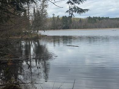 Discover 1.6 sprawling acres on the highly sought-after Tiger - photo 1