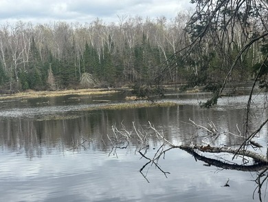 Discover 1.6 sprawling acres on the highly sought-after Tiger - photo 4