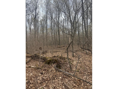 Discover 1.6 sprawling acres on the highly sought-after Tiger - photo 8