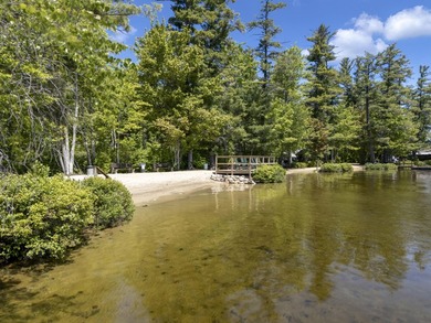 A truly rare offering, this 117A+- acre waterfront estate - photo 3