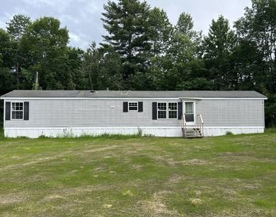 Just enough! 1998 Skyline single wide mobile home, two bedrooms - photo 1
