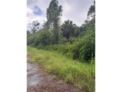 Lehigh Acres Area Lot For Sale in Lehigh Acres Florida