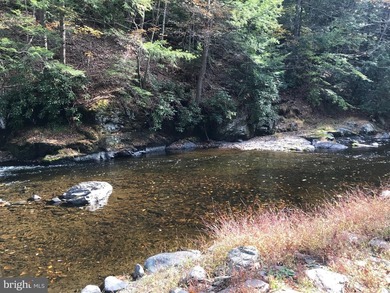 Welcome to a once a lifetime opportunity to own a Pocono - photo 24