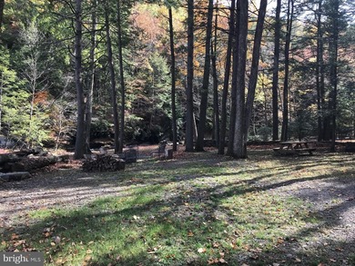 Welcome to a once a lifetime opportunity to own a Pocono - photo 29