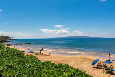 Welcome to Kamaole Sands 5-205, a beautifully updated - photo 39