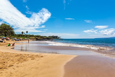Welcome to Kamaole Sands 5-205, a beautifully updated - photo 41