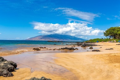 Welcome to Kamaole Sands 5-205, a beautifully updated - photo 42