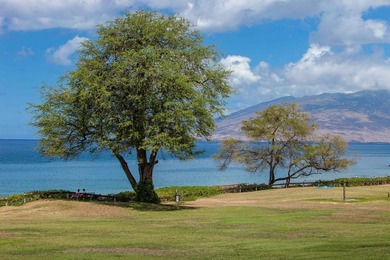 Welcome to Kamaole Sands 5-205, a beautifully updated - photo 43