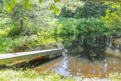 Nestled in the woods on beautifully landscaped grounds, this - photo 5
