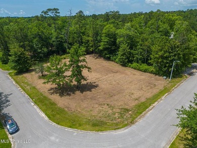**Land for Sale in D'Iberville!**Nestled in a quiet neighborhood - photo 2