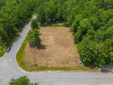 **Land for Sale in D'Iberville!**Nestled in a quiet neighborhood - photo 3