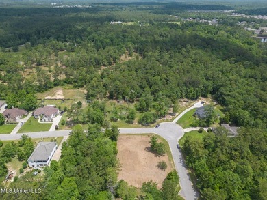 **Land for Sale in D'Iberville!**Nestled in a quiet neighborhood - photo 8