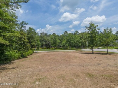 **Land for Sale in D'Iberville!**Nestled in a quiet neighborhood - photo 10
