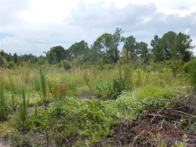 Lehigh Acres Area Lot For Sale in Lehigh Acres Florida