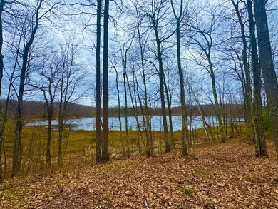 5.17 AC lot situated on a scenic 134 AC crystal clear BROKEN BOW - photo 18