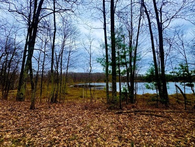 5.17 AC lot situated on a scenic 134 AC crystal clear BROKEN BOW - photo 19