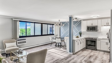 Lake Condo For Sale in Chicago, Illinois