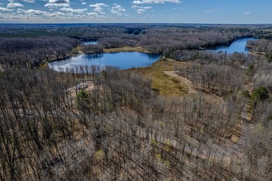 5.17 AC lot situated on a scenic 134 AC crystal clear BROKEN BOW - photo 23