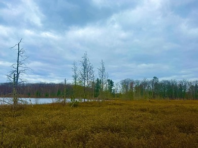 5.17 AC lot situated on a scenic 134 AC crystal clear BROKEN BOW - photo 24