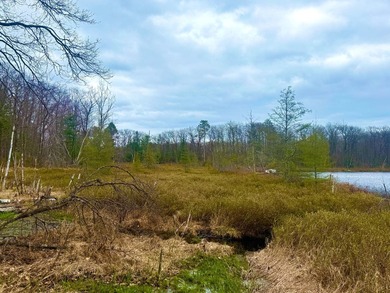 5.17 AC lot situated on a scenic 134 AC crystal clear BROKEN BOW - photo 26