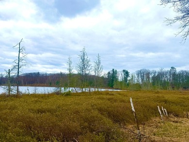 5.17 AC lot situated on a scenic 134 AC crystal clear BROKEN BOW - photo 27