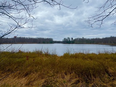 5.17 AC lot situated on a scenic 134 AC crystal clear BROKEN BOW - photo 31