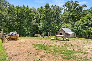 Welcome to 748 Bluegoose Road in Sarah MS, where rustic - photo 32