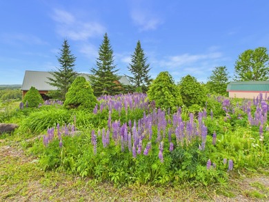 Some properties give agents *home envy*--this is absolutely one - photo 2