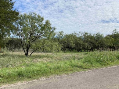 Lake Lot For Sale in Cottonwood Shores, Texas