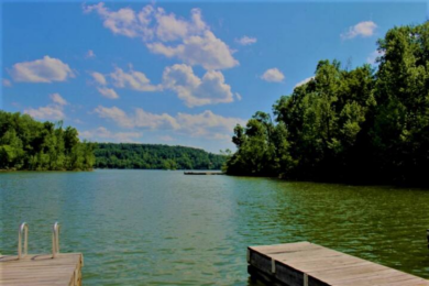 Rare Walk-to-the-Water Nolin Lake Waterfront! - photo 32