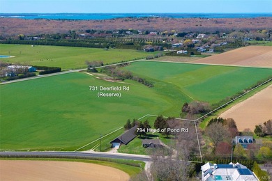 Introducing an extraordinary land offering in Watermill, New - photo 3
