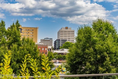 Live in the heart of downtown Knoxville at Regas Square! This - photo 29