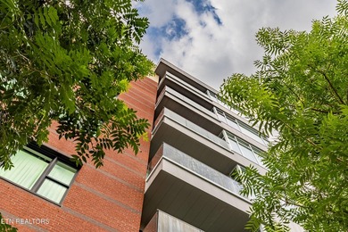 Live in the heart of downtown Knoxville at Regas Square! This - photo 34