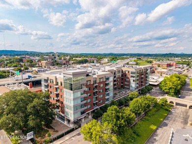 Live in the heart of downtown Knoxville at Regas Square! This - photo 38