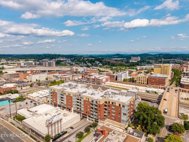 Live in the heart of downtown Knoxville at Regas Square! This - photo 41