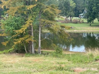 Lake Lot For Sale in Florien, Louisiana