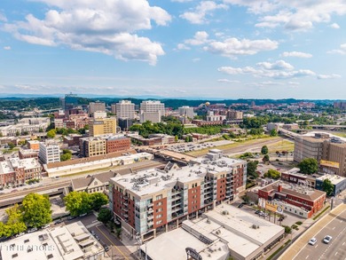 Live in the heart of downtown Knoxville at Regas Square! This - photo 42