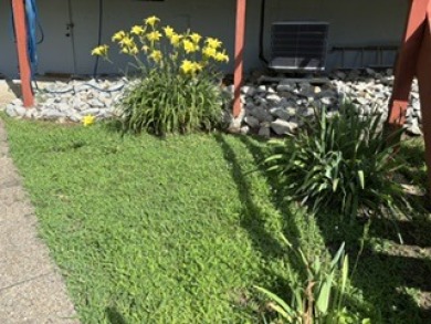 Rare Walk-to-the-Water Nolin Lake Waterfront! - photo 25