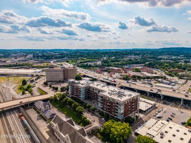 Live in the heart of downtown Knoxville at Regas Square! This - photo 45