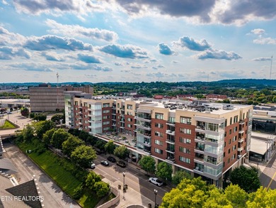 Live in the heart of downtown Knoxville at Regas Square! This - photo 46