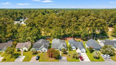 This priced-to-sell, move-in-ready 3-bedroom, 2-bath home offers - photo 49