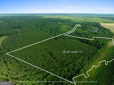 (private lake, pond, coastal) Acreage For Sale in Rutledge Georgia