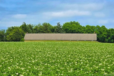 Introducing an extraordinary land offering in Watermill, New - photo 7