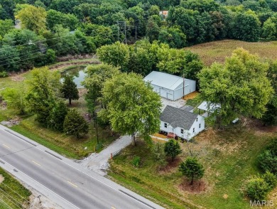 Lake Home For Sale in Dorsey, Illinois