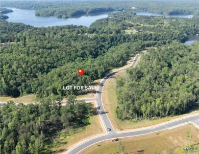 Lake Lot For Sale in Tuscaloosa, Alabama