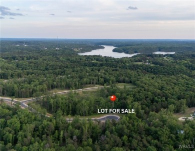 Lake Lot For Sale in Tuscaloosa, Alabama