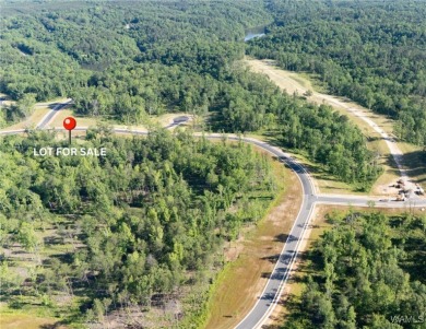 Lake Lot For Sale in Tuscaloosa, Alabama
