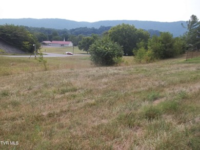 Holston River - Hawkins County Commercial For Sale in Church Hill Tennessee